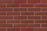 КРАСНЫЙ 1НФ пустотелый